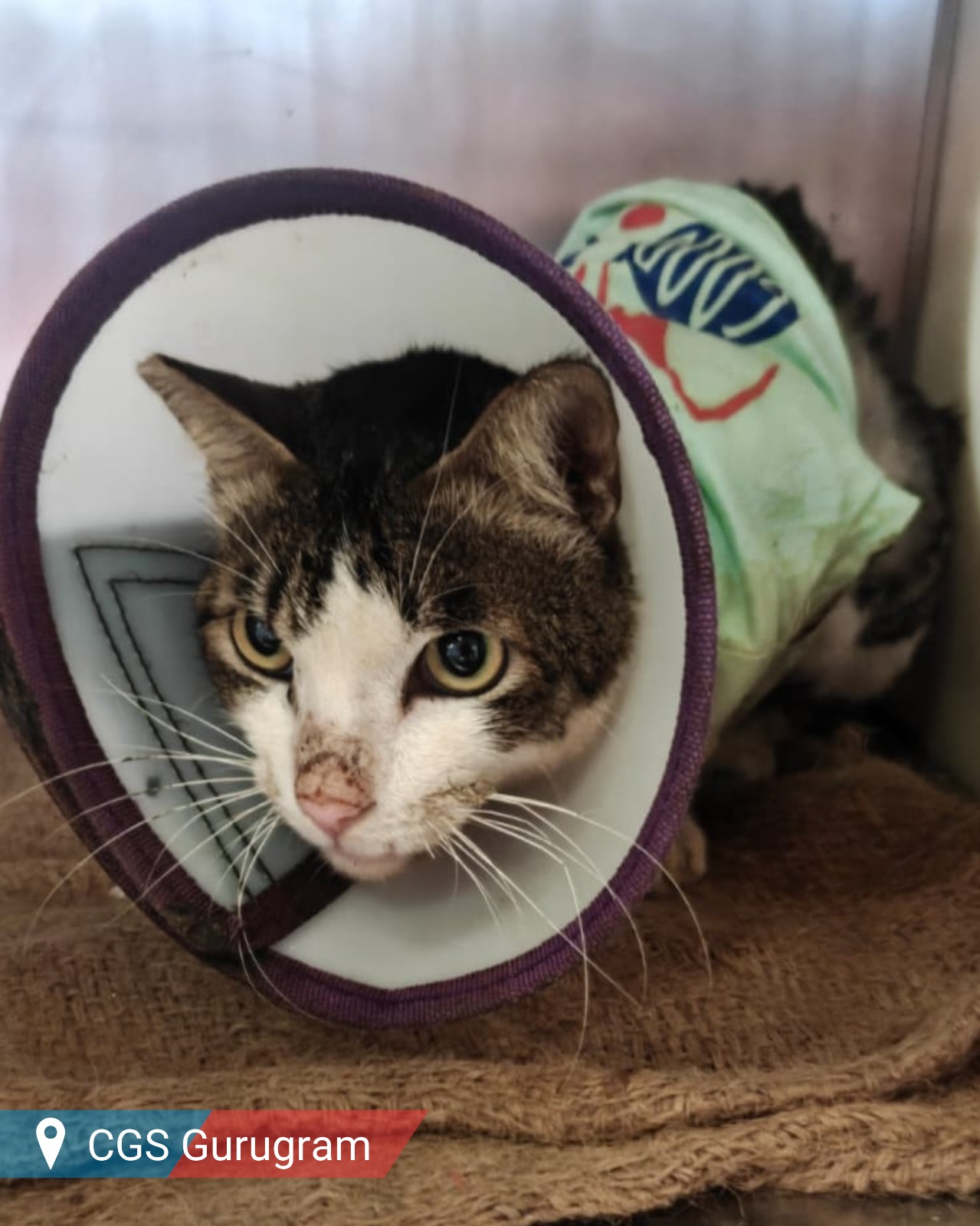 Billy’s Journey Back to Comfort