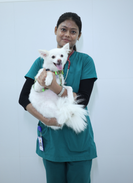 Pet Doctors